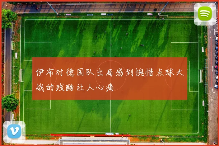 伊布对德国队出局感到惋惜点球大战的残酷让人心痛