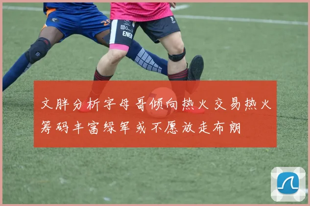 文胖分析字母哥倾向热火交易热火筹码丰富绿军或不愿放走布朗